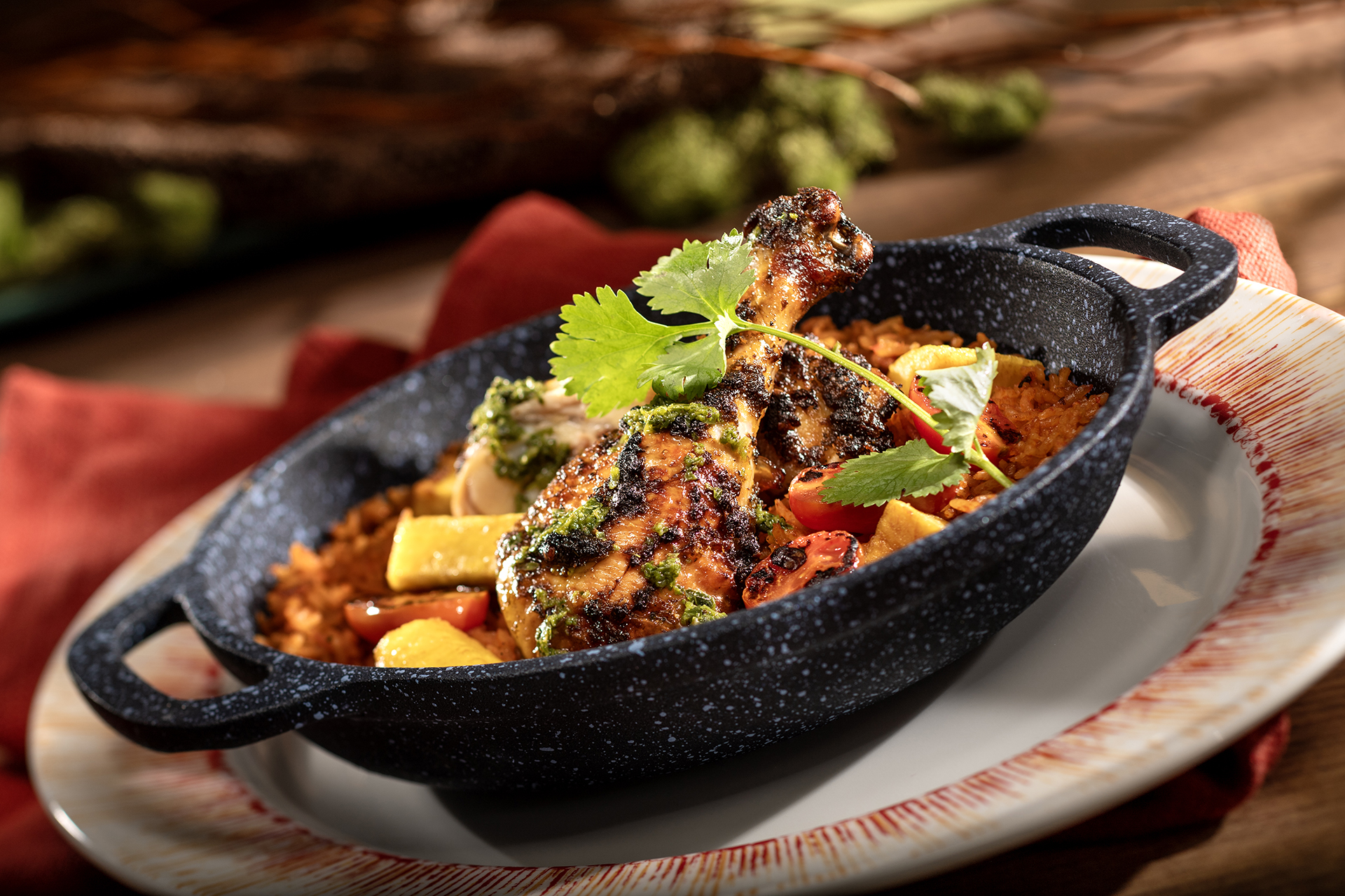 DCL_Destiny_PrideLands_Dish2