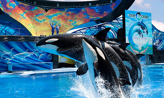SeaWorld